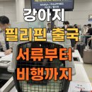 하나방역서울본부 | 반려견 우주와 필리핀 클락 출국하기(애견 필수 서류부터 수하물 탑승 후기)