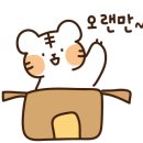 이태원왕김밥 이미지