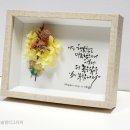 101세 실링 네이버블로그