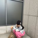 룩호텔 | 요즘 뜨는 패션브랜드추천, 미스테리어스호텔 와이드 조거팬츠 데일리룩 후기