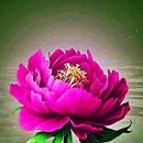 (주)멍이사랑 이미지