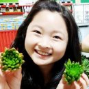 웰빙빅마켓 - 관악구 양녕로 49 | 웰빙빅마켓
