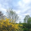 아이쿱 재발방지 요양병원 이미지