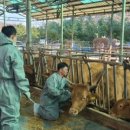 이한준 농장 이미지