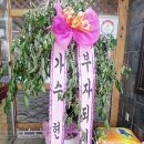 와우!맵다