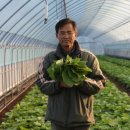 푸르뫼농장 이미지