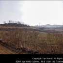 만세농장 이미지