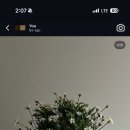 오흐니아뜰리에