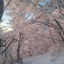 마음의 양식 이미지