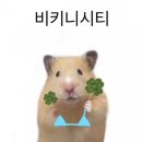 저니씨티