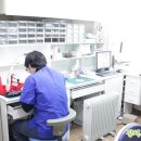 나무 치과기공소 이미지