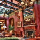 101마리 애견 이미지