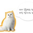 충청팬시
