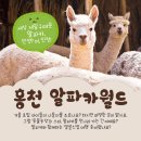 알파카
