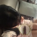 지우약국 이미지