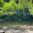 봉바위돌집민박 이미지