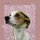 구룡유치원 이미지