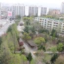 부양공원 이미지