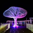 오이도선사유적공원(전망대) 이미지