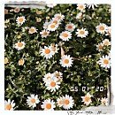 송림한옥 이미지