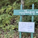 천원목장 | [평창/대관령/가볼 만한 곳] 대관령 ‘양떼목장’ &amp; ‘하늘목장’ 둘 다 가본 후기, 아기랑 평창 여행