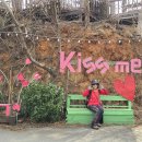 경기둘레길 안산49코스 이미지