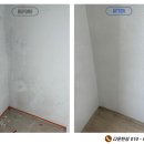 경수대로1244번길 이미지