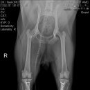 가람메디컬 이미지