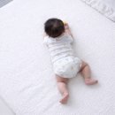 남성생활요리 | [임준] 남성 임신 준비 영양제, 보조식품, 생활 습관 관리 공유(아연, 코엔자임Q10, 오메가3, 멀티비타민)