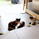 우주주택 이미지