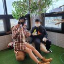 카페오늘도