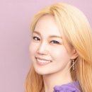 하이토익회화