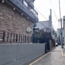 동경신촌 | 홍대 헤어컨설팅 동경하다 홍대상수점 시술 후기