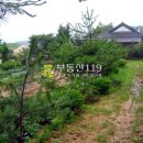 오수리농장 이미지