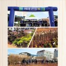 선상서로-6 이미지