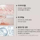 무드크림 이미지