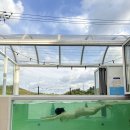 못안 풀빌라 | 경주 온수풀 신축펜션 못안풀빌라 1박후기