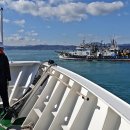 동해-단속-21 이미지