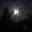 황새둥지 이미지