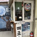 쎄시봉 추억의 음악여행 | 담양 추억의골목 입장료 할인 교복대여 솔직후기