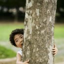 디오스컴퍼니 이미지