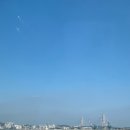 청화카드라이브 | [여행] 부산 남포동, 영도 : 일출을 보지 못한 해맞이 여행🌅 (라발스 / 포장마차거리 / 깡깡이 예술마을...