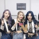 비비헤어비스 이미지