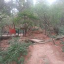 천보체육회 이미지