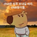 🚨🚨주목!!!!!! chill과 chill guy🥵 등장!!!!!🚨🚨 이미지