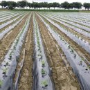 상원농장 이미지