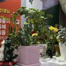 해냄메디칼 네이버블로그