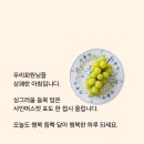 어떤묘비 의 글. 이미지
