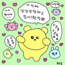 삼백도 이미지