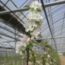 대정농장 이미지